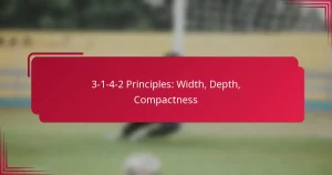 Read more about the article 3-1-4-2 Principles: Width, Depth, Compactness