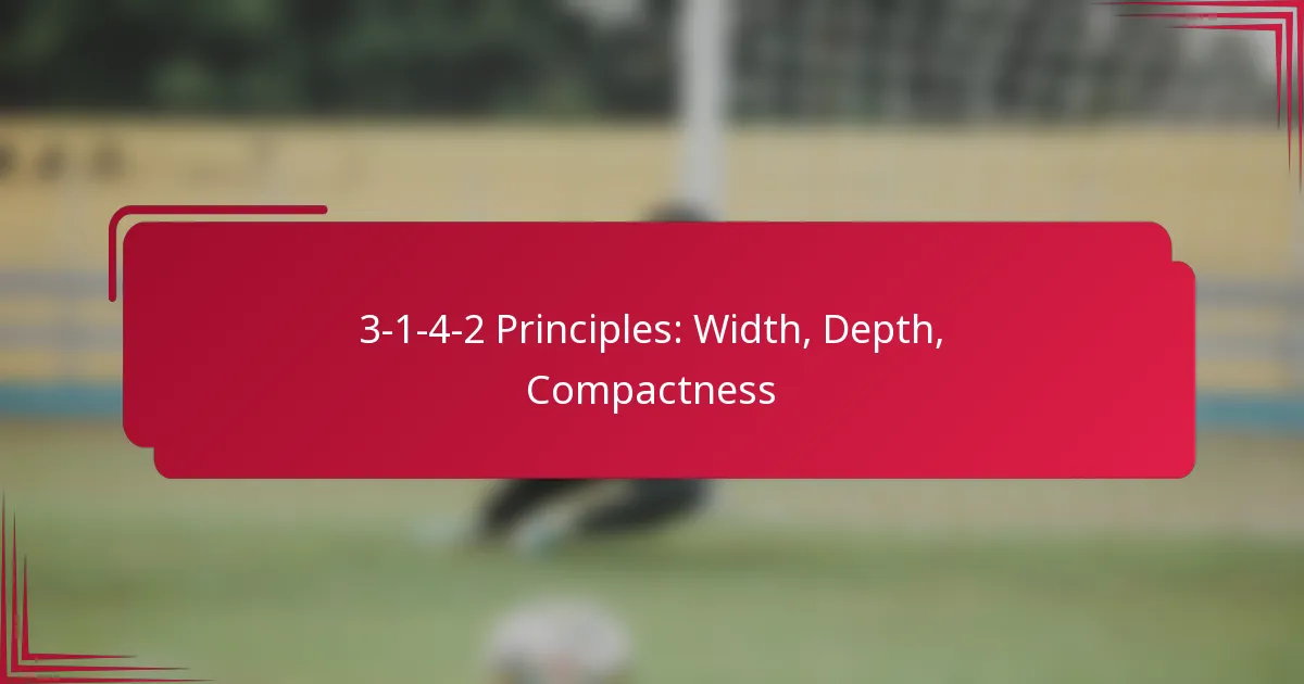 Read more about the article 3-1-4-2 Principles: Width, Depth, Compactness