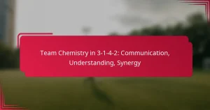 Read more about the article Team Chemistry in 3-1-4-2: Communication, Understanding, Synergy