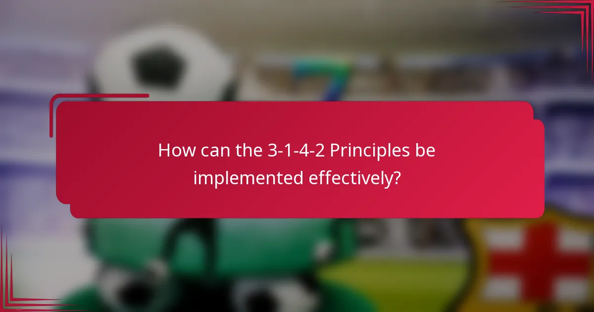 How can the 3-1-4-2 Principles be implemented effectively?