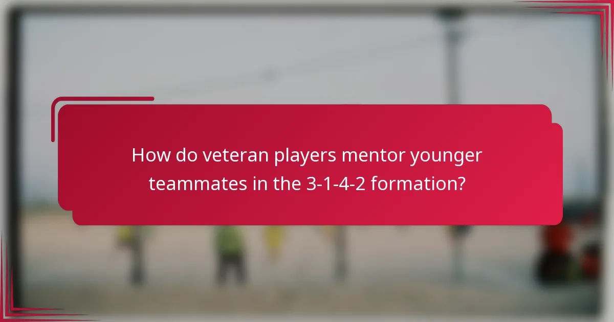 How do veteran players mentor younger teammates in the 3-1-4-2 formation?