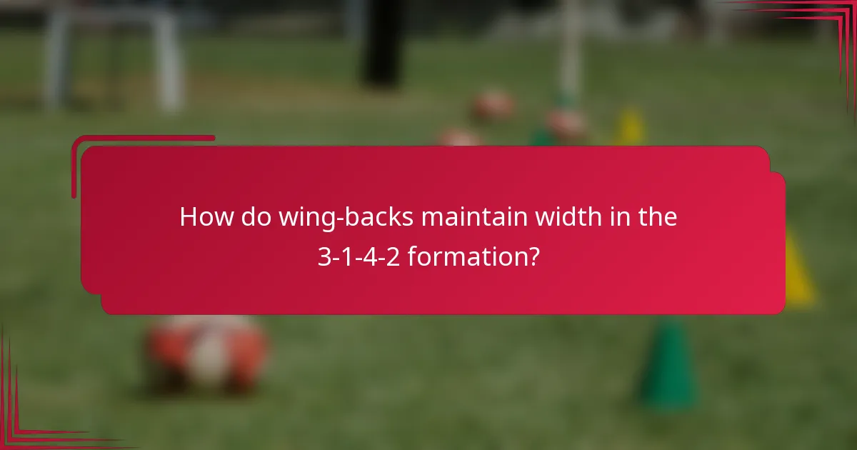 How do wing-backs maintain width in the 3-1-4-2 formation?