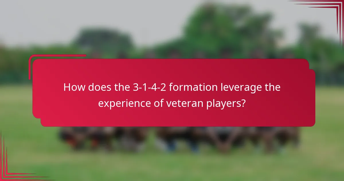 How does the 3-1-4-2 formation leverage the experience of veteran players?