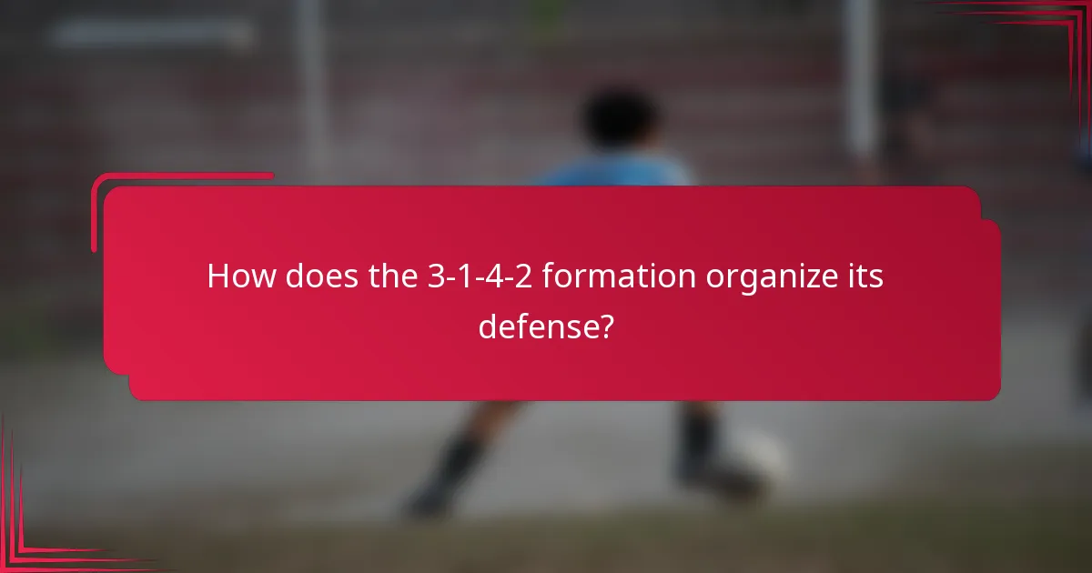 How does the 3-1-4-2 formation organize its defense?