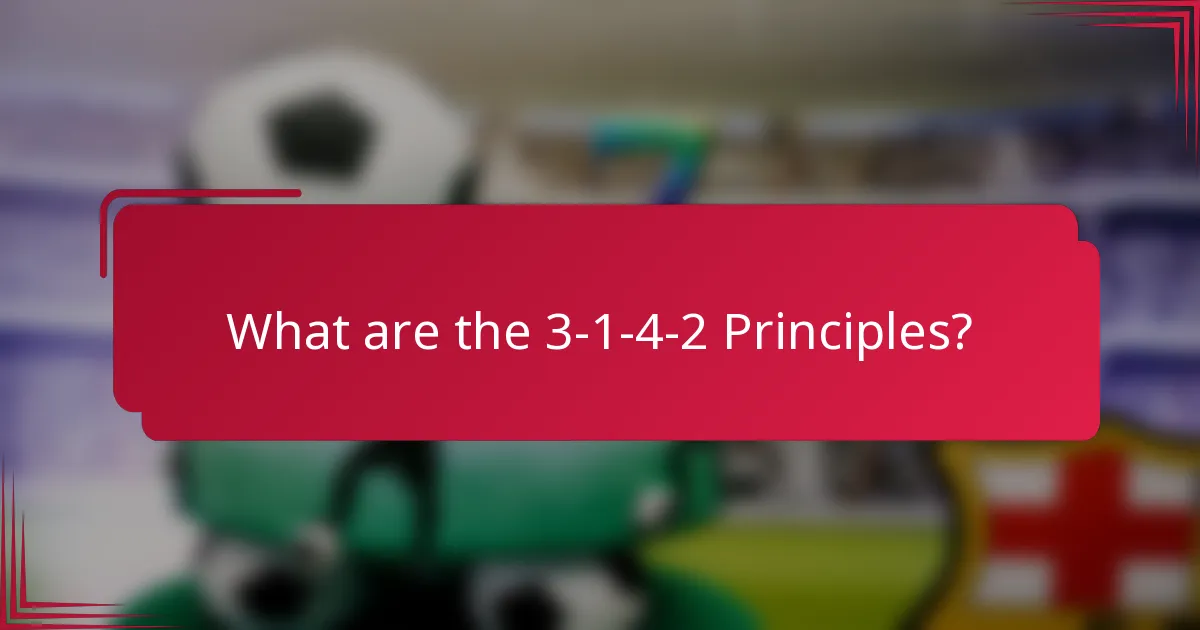 What are the 3-1-4-2 Principles?