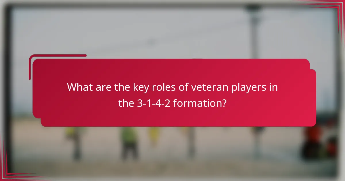 What are the key roles of veteran players in the 3-1-4-2 formation?