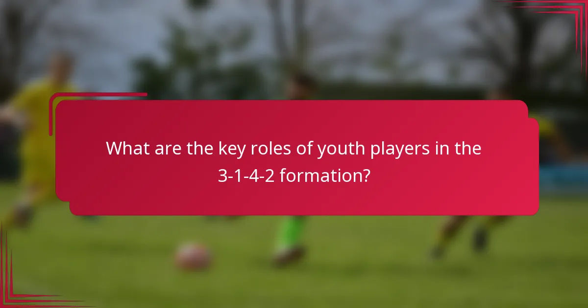 What are the key roles of youth players in the 3-1-4-2 formation?