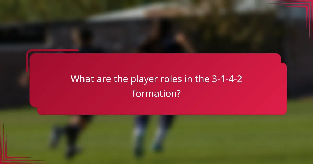What are the player roles in the 3-1-4-2 formation?