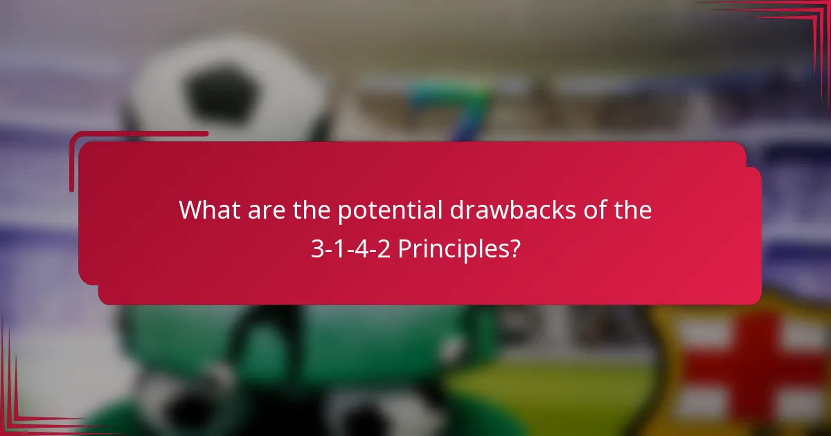 What are the potential drawbacks of the 3-1-4-2 Principles?