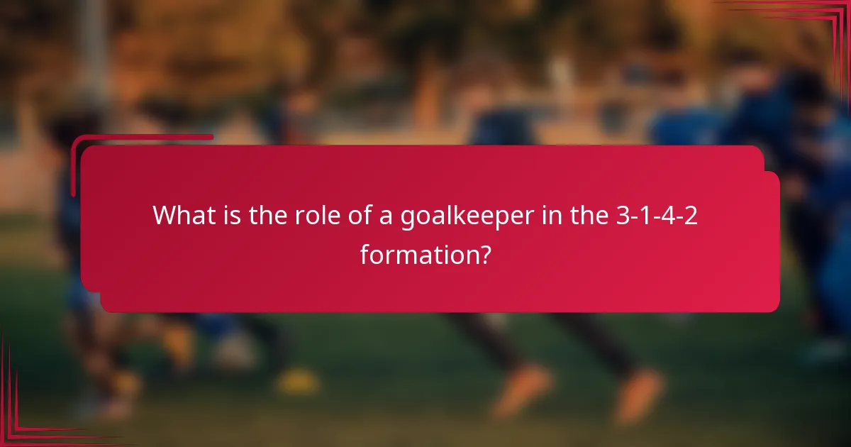 What is the role of a goalkeeper in the 3-1-4-2 formation?