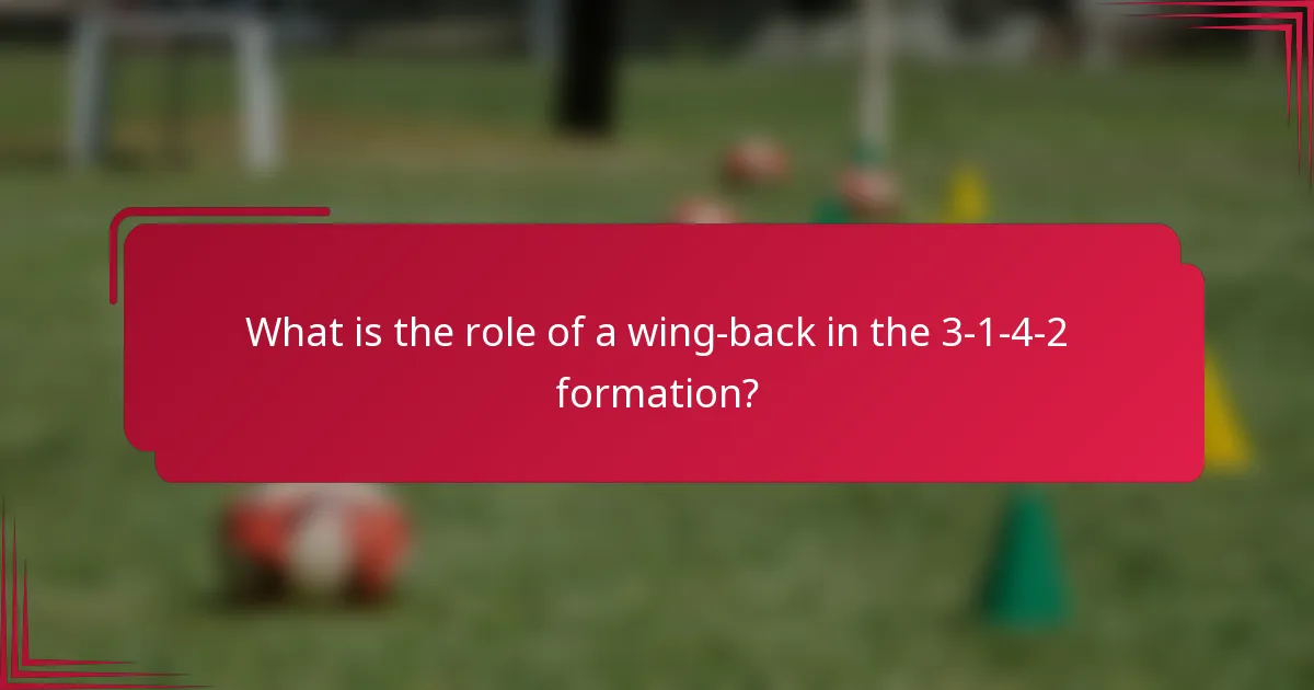 What is the role of a wing-back in the 3-1-4-2 formation?