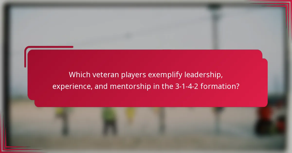 Which veteran players exemplify leadership, experience, and mentorship in the 3-1-4-2 formation?